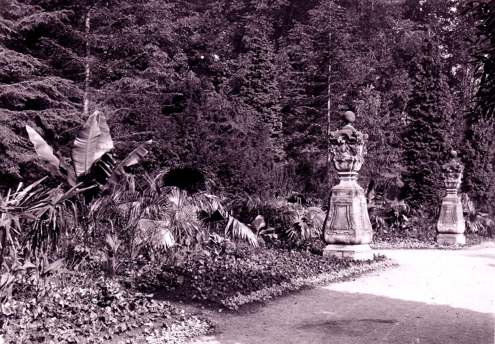 Die zwei einst am westlichen Ende der Orangerie stehenden barocken Biedermann-Vasen verschwanden nach Kriegsende spurlos. Es wird vermutet, dass sie (da wahrscheinlich beim Bombenangriff 1944 beschädigt, bzw. zerstört) als „Bauschutt“ bei der Auffüllung des Feuerlöschbeckens um das Denkmal Ernsts des Frommen endeten. (Foto: MRV)
