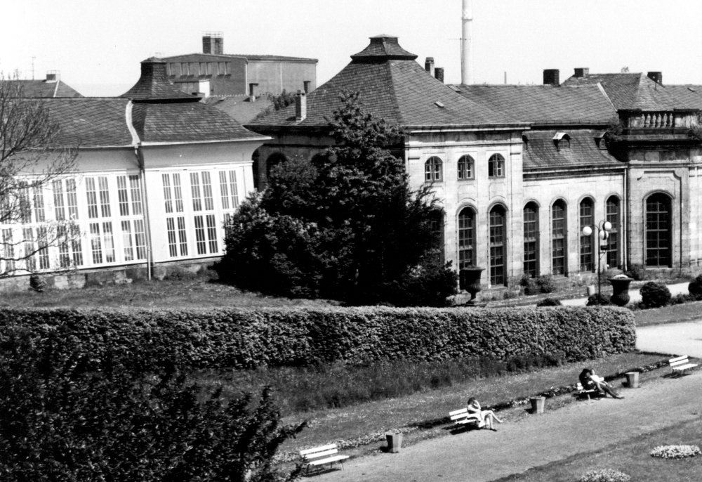 Blick auf die Nordseite der Orangerie. Sehr gut erkennbar ist links die 1985 nach historischem Vorbild wiederhergestellte durchgehende Fensterfassade des nördlichen Treibhauses. (Foto: Altstadtverein)
