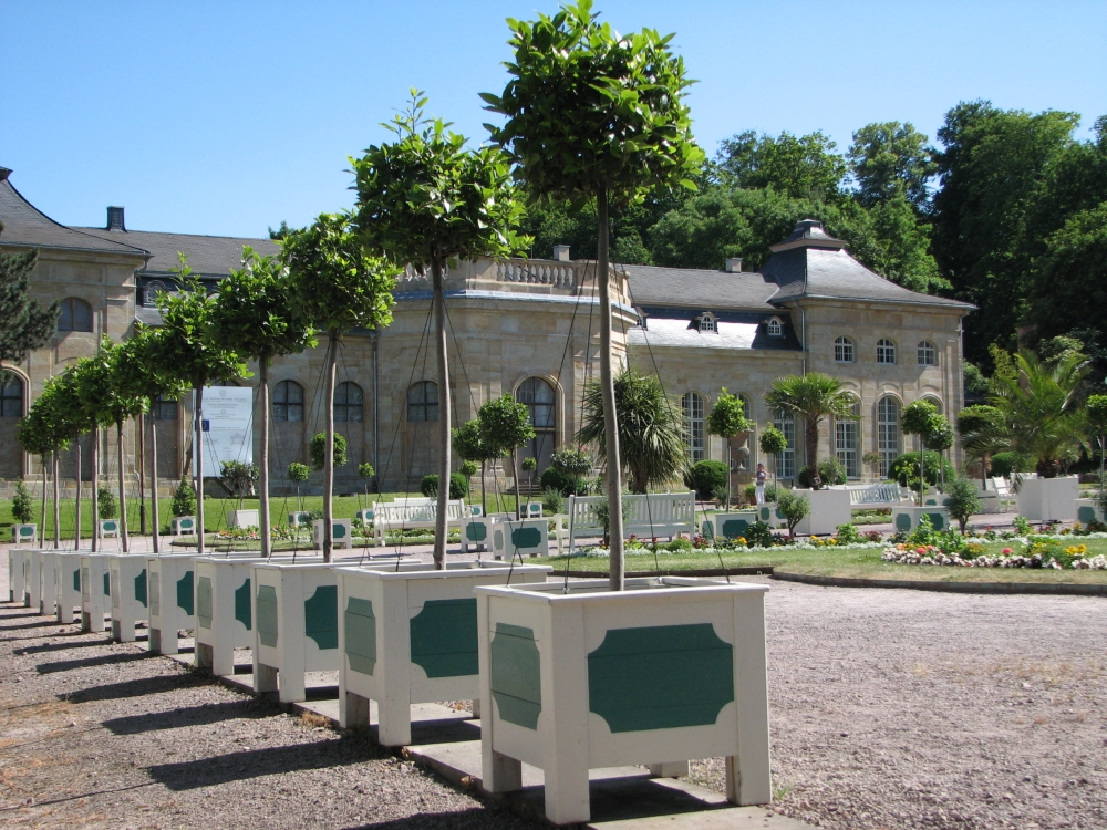 Im Obergeschoss des Westpavillons des „Lorbeerhauses“ befindet sich seit Mai 2011 das neue Domizil der „Orangerie-Freunde“. (Foto: Cramer)