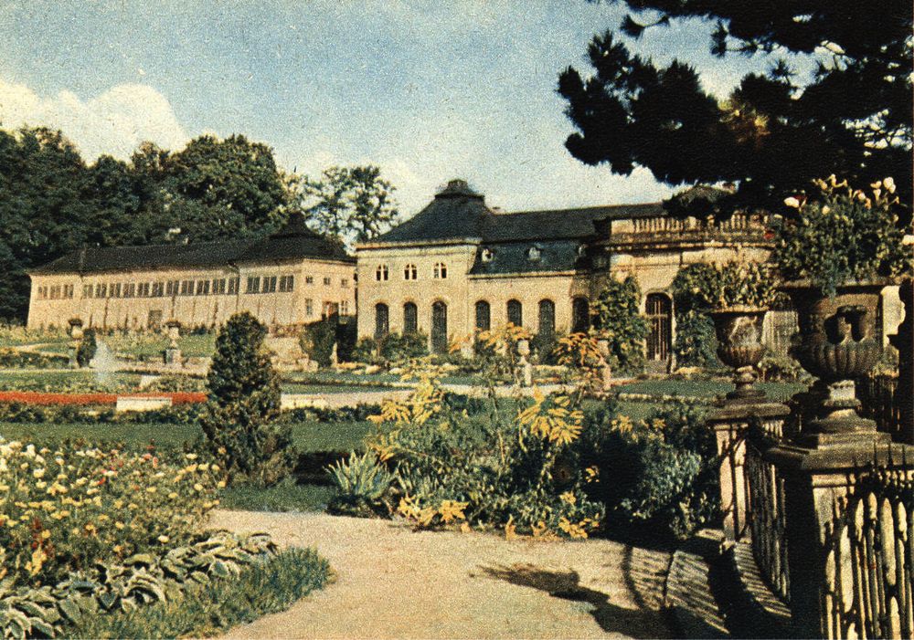 Eine Rarität ist diese Ende der 1930er-, Anfang der 1940er-Jahre entstandene Farbpostkarte, die das nördliche Treibhaus (man beachte die hier gut sichtbare, stark verkleinerte Fensterfront!) und das „Orangenhaus“ zeigt. Im zwar prächtig blühenden Orangerieparterre ist mittlerweile jedoch kein einziges Zitrusbäumchen des einst überreichen Bestandes mehr vorhanden. Ein Detail für Kenner der Anlage bietet sich am rechten Bildrand: Hier sind noch die originalen Keramikvasen zu sehen, welche einst die Brüstungen an den östlichen Stirnseiten der beiden Kalthäuser zur Friedrichstraße hin zierten. Sie wurden – da teils mutwillig zerschlagen, teils aufgrund ihres Alters beschädigt – zu DDR-Zeiten durch die heutigen schlichten Kugeln ersetzt. (Foto: SAG)